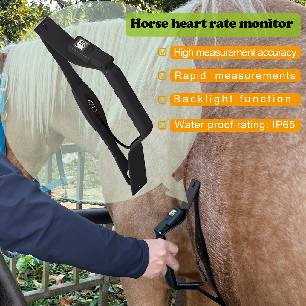 Horse Heart Rate Sensor Monitor Rapid measurement with Backlight LCD W ...