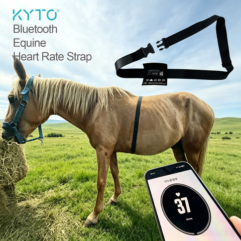 Horse equine Heart Rate Sensor Monitor Bluetooth  Water Proof High accuracy KYTO2821