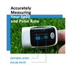 Fingertip blood oxygen pulse rate oximeter monitor - KYTO80A